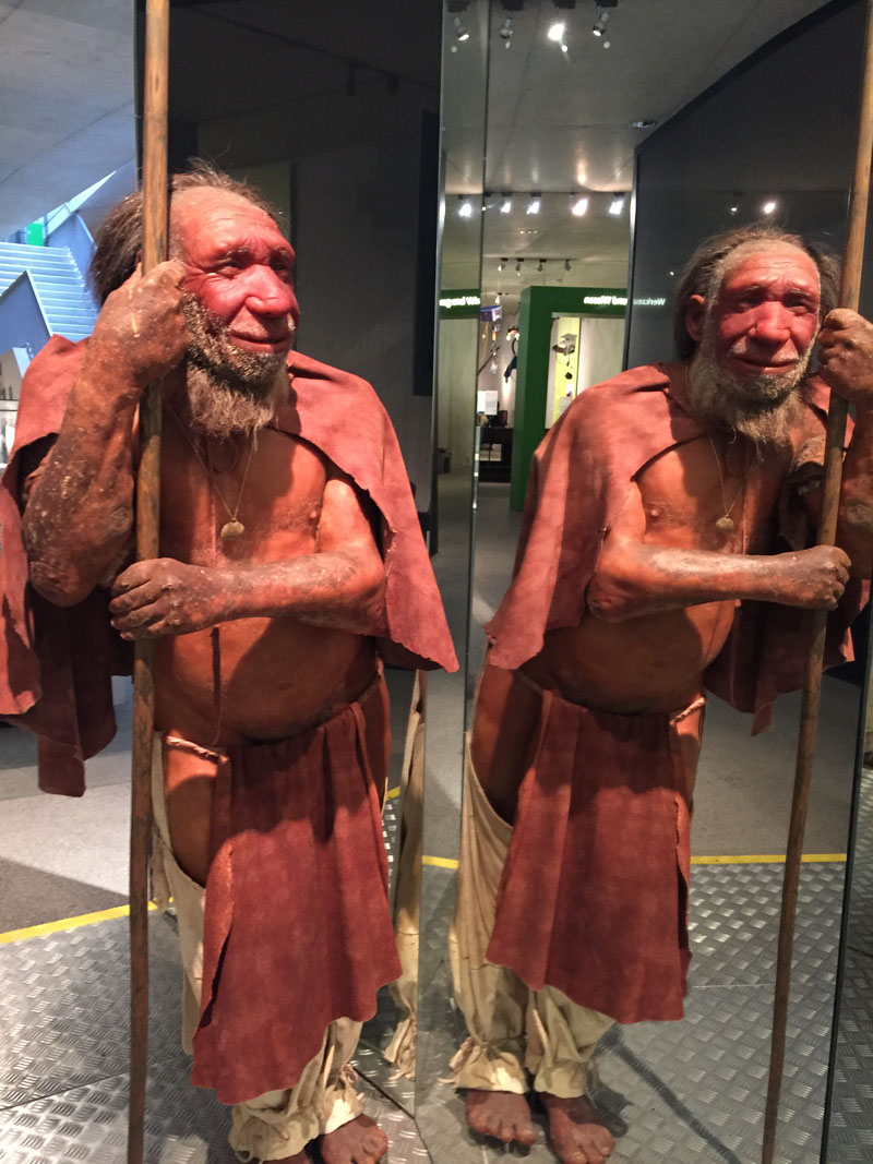 neanderthal19